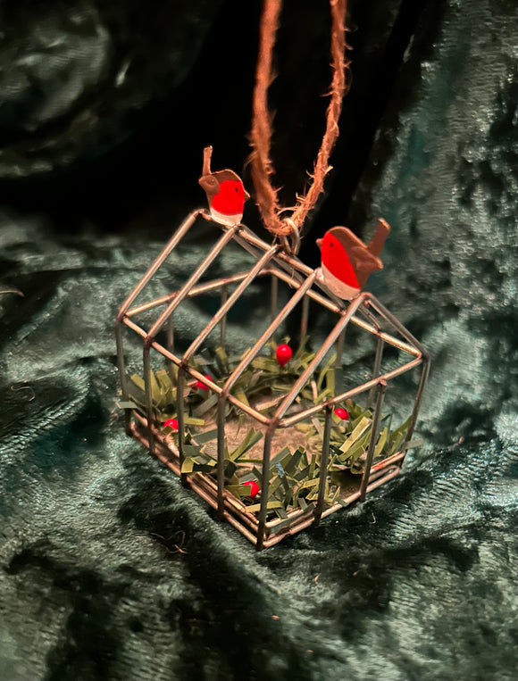 Robins in Green House