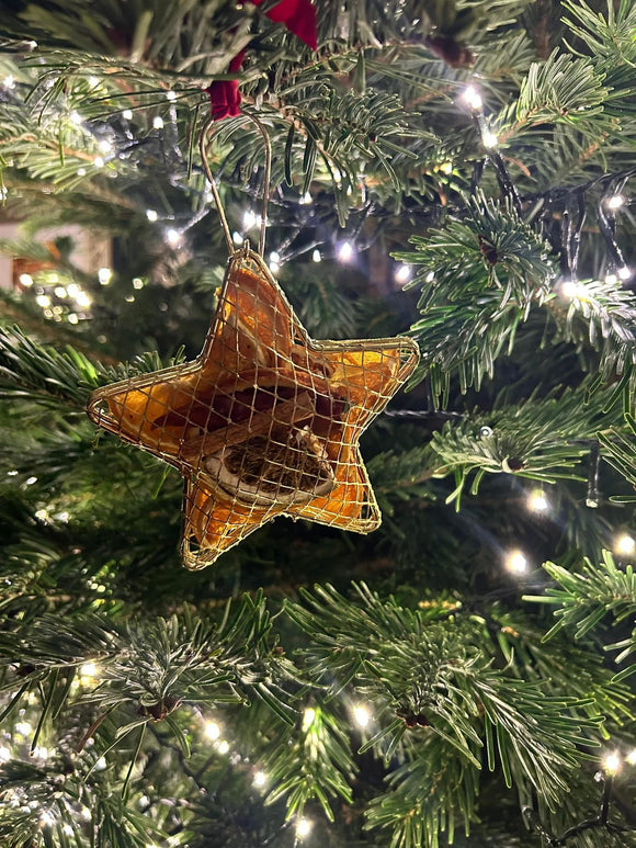 Dried Fruit Star