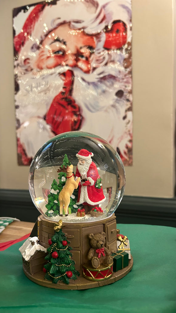 Santa and Reindeer Snow Globe