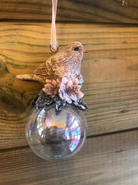 Bird on a Soap Bubble
